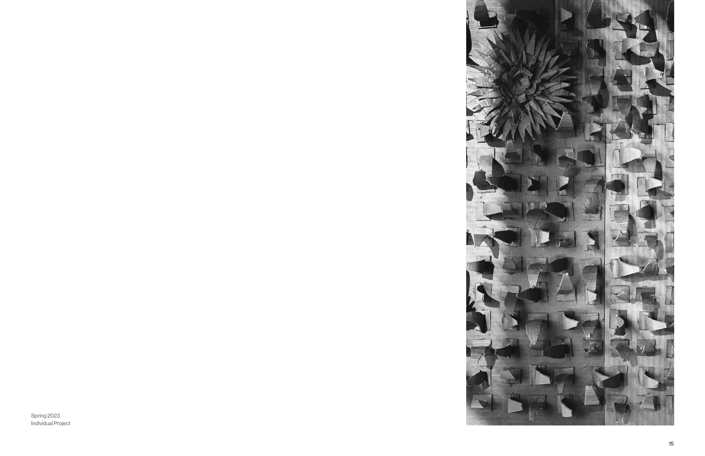 ISU Arboretum — Spring 2023, individual project.
